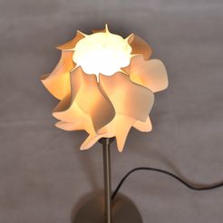 DSC_0040.JPG STL file lamp shade - wave・3D printable design to download, Ciokobango
