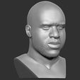 13.jpg Shaquille O'Neal bust for 3D printing