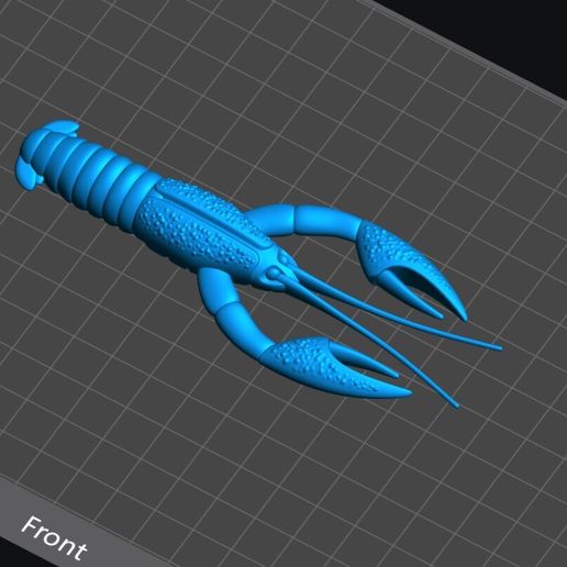🎣 Soft fishing lure - Crawfish 95mm・ STL File for 3D printing・Cults