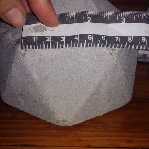 WhatsApp-Image-2020-05-28-at-8.03.15-PM.jpeg faceted mold plant