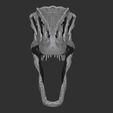 Screenshot-2023-12-18-161133.jpg Allosaurus Dinosaur Skull Replica