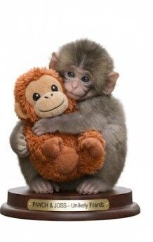 Panch & Joss - Ultra Detailed Single-Piece STL - Emotional Baby Macaque & Teddy 3D Model - Optimized for 0.08mm Fine Printing