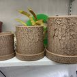 Tree Bark Planter