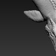 D6.jpg Archivo STL Mosasaurus・Diseño de impresión en 3D para descargar, F-solo