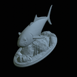 Greater-Amberjack-statue-1-49.png fish greater amberjack / Seriola dumerili statue underwater detailed texture for 3d printing