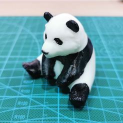 panda-1-photo.jpg Panda