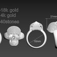 34324234234.jpg ring scull 3D print model