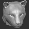 12.jpg Leopard head for 3D printing