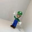 Luigi from Mario games - Multi-color