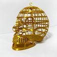 IMG_7404.jpeg Golden Cage Skull