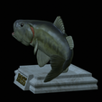 Bass-stocenej-4.png fish bass trophy statue detailed texture for 3d printing