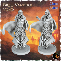 Vlad_original.png 3D file Vlad - Dark Fantasy Minis・3D printer design to download