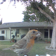 Screen-Shot-2021-07-27-at-11.28.29-AM.png Blink Camera Bird Feeder (2 Versions Included)