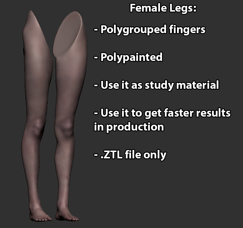 1.png Download OBJ file Realistic Female Legs • 3D printing model, GoWireStudios
