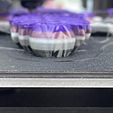 Niedlicher Flexi Print-in-Place Fuchs