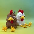 T4.jpg Das Huhn