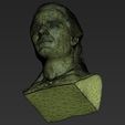31.jpg Geralt of Rivia The Witcher Cavill bust 3D printing ready