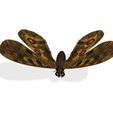 00.jpg DOWNLOAD BUTTERFLY 3D MODEL - ANIMATED INSECT - MAYA - BLENDER 3 - 3DS MAX - UNITY - UNREAL - CINEMA 4D -  3D PRINTING - OBJ - FBX - BLENDER - 3DS MAX - MAYA - C4D - UNITY - UNREAL -  3D PROJECT CREATE AND GAME READY BUTTERFLY INSECT POKÉMON