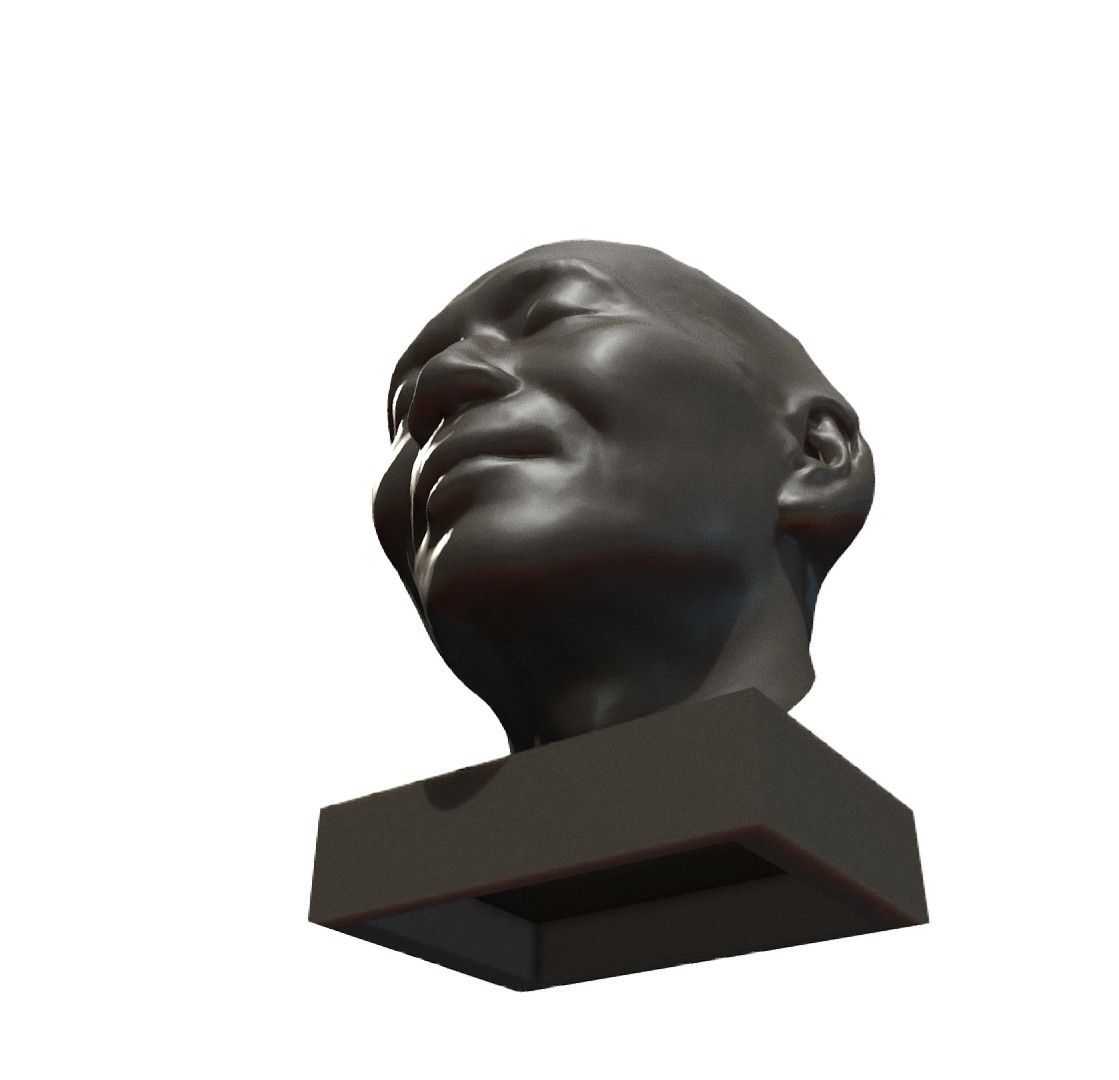 My face - Download Free 3D model by mwopus (@mwopus) - Sketchfab20181127-007534.jpg Download STL file My face • 3D printing object, MWopus