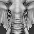 10.jpg Elephant African Head