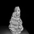 20221227_205738.jpg Night Light Collection. Peter Rabbit NightLight, Easy Print