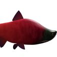 6.jpg SALMON - Fish 3D MODEL - Coral Fish Goby