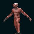 w7.jpg Statua di Wolverine