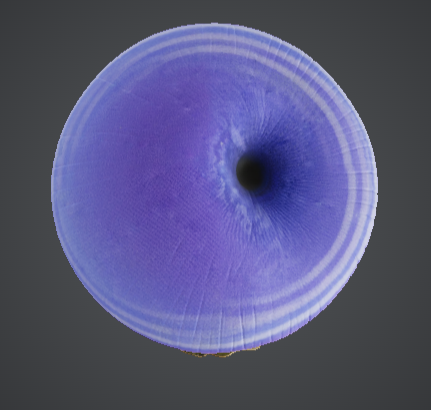 Purple Moon Mushroom House