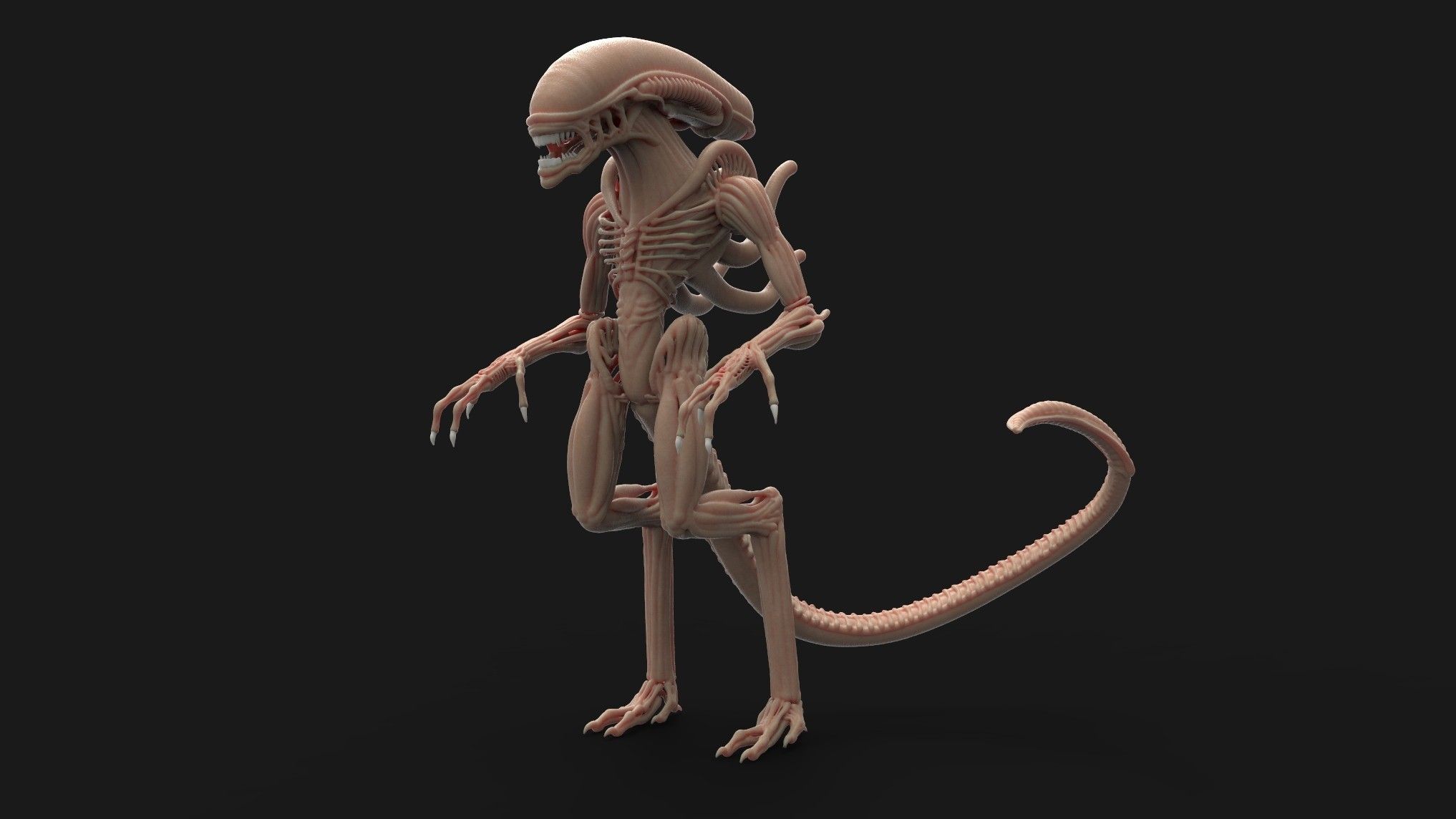 Alien.405.jpg Fichier OBJ Alien Pose・Design pour imprimante 3D à télécharger, Choursair