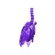 NEW-Spine-chest-repaired-repaired-repaired.stl Macow Skeleton