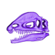 Dilophosaure .obj The Dilophosaurus, 3D skull