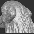 9.jpg Puppy of Bernese Mountain Dog head for 3D printing