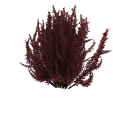 4.png Green Tree Flowers 3D Model