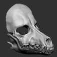 20.png Dog Skull Scary mask for cosplay