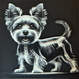 X-york01.png X-ray Yorkshire Terrier dog filament painting