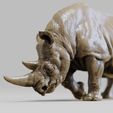 A0001.jpg Rhinoceros