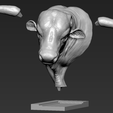 15.png Head Bull