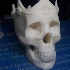 321614664_860729398407339_8673049483980356828_n.webp Free STL file King Nothing・Object to download and to 3D print
