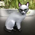 IMG_5735.jpg Realistische Raymond-Katze - Animal Crossing