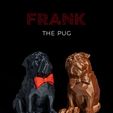 Frank,-the-Pug-thumb.jpg Frank, the Pug