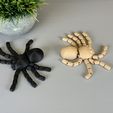 IMG_3783.jpg Flexi Spider (Articulated)