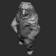 StandingBear5.png Ours Grizzly debout