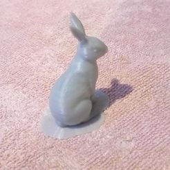Nyuszi06.JPG Easter rabbit by Fred14000