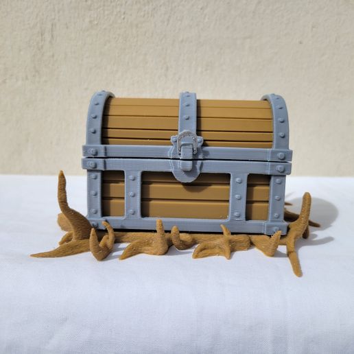 20250409_091356.jpg PIRATE CHEST WITH TENTACLES
