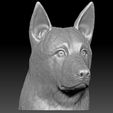 15.jpg German Shepherd head for 3D printing