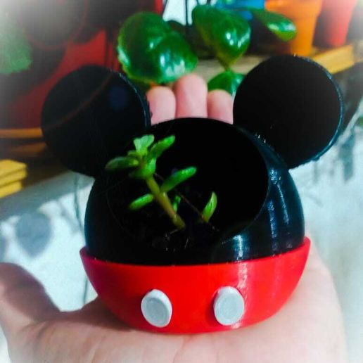 WhatsApp-Image-2021-04-11-at-01.05.15.jpeg Pot Mickey Mouse