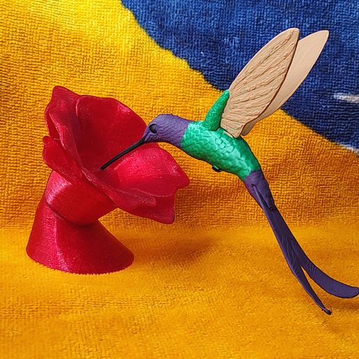 IMG_20240701_151707845.jpg Kolibri