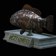 Dusky-grouper-17.png fish dusky grouper / Epinephelus marginatus statue detailed texture for 3d printing