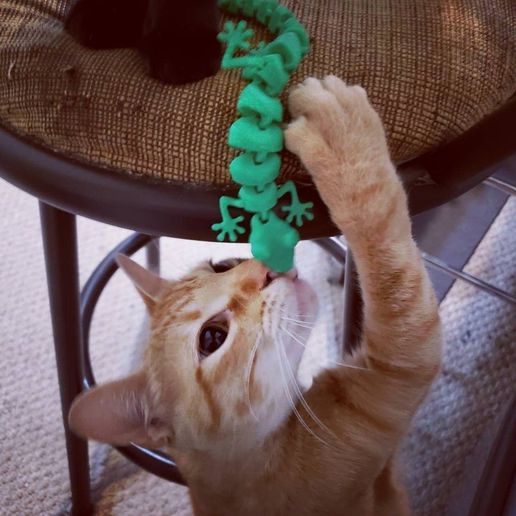 Articulated Lizard v2