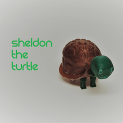 Capture d’écran 2018-03-30 à 12.09.35.png Free OBJ file Sheldon the Turtle・3D print design to download, O3D